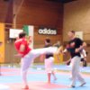 friedrichshafen_2011 47